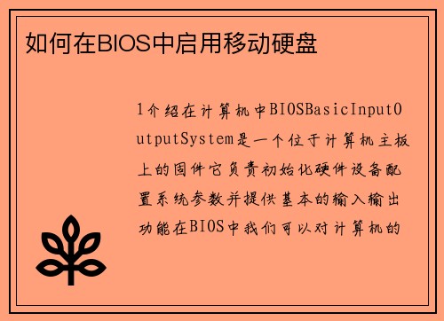 如何在BIOS中启用移动硬盘
